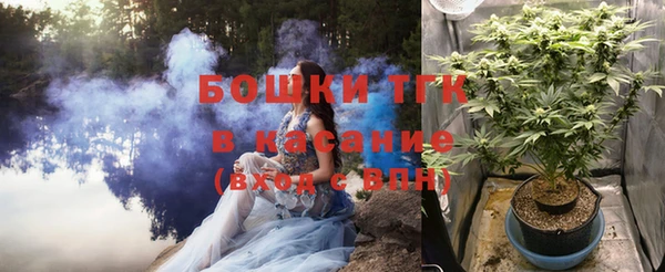 винт Лиски